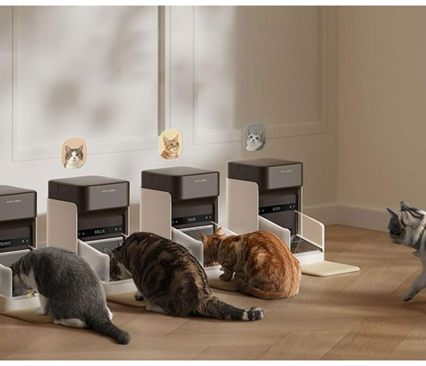 Petlibro INTELIGENTNY DOZOWNIK KARMY RFID Z OBROŻĄ, 3L - 1515027 - zdjęcie 6